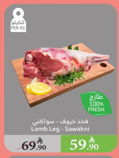 اللحوم الطازجة والمبردة in الراية, المملكة العربية السعودية Offers - المملكة العربية السعودية لحم الضأن / الغنم available at الراية in مملكة العربية السعودية, السعودية, سعودية - بيشة