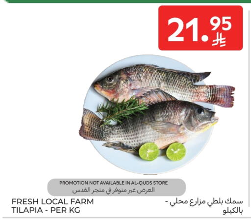 available at Carrefour in KSA, Saudi Arabia, Saudi - Buraidah