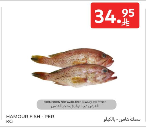 available at Carrefour in KSA, Saudi Arabia, Saudi - Buraidah