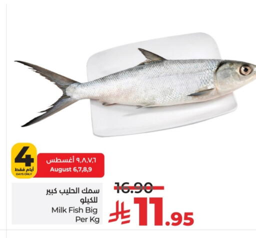 الأسماك الطازجة in لولو هايبرماركت, المملكة العربية السعودية Offers - المملكة العربية السعودية available at لولو هايبرماركت in مملكة العربية السعودية, السعودية, سعودية - عنيزة