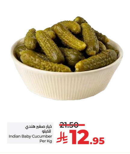 Cucumber available at لولو هايبرماركت in مملكة العربية السعودية, السعودية, سعودية - الأحساء‎