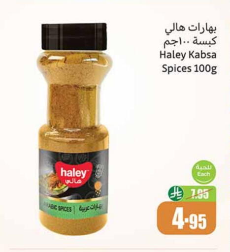 HALEY Spices available at Othaim Markets in KSA, Saudi Arabia, Saudi - Al Majmaah