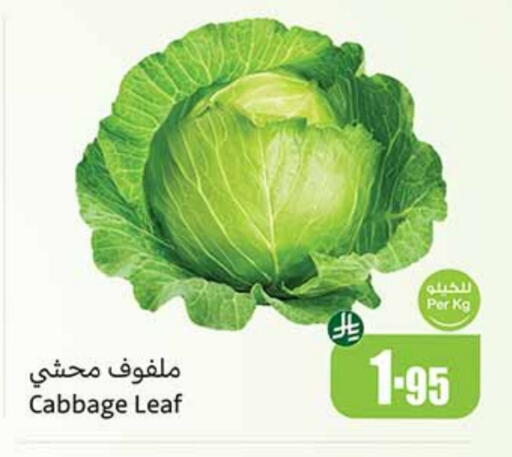 الخضروات الطازجة in أسواق عبد الله العثيم, المملكة العربية السعودية Offers - المملكة العربية السعودية كرنب available at أسواق عبد الله العثيم in مملكة العربية السعودية, السعودية, سعودية - عنيزة