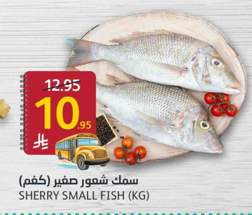available at AlJazera Shopping Center in KSA, Saudi Arabia, Saudi - Riyadh