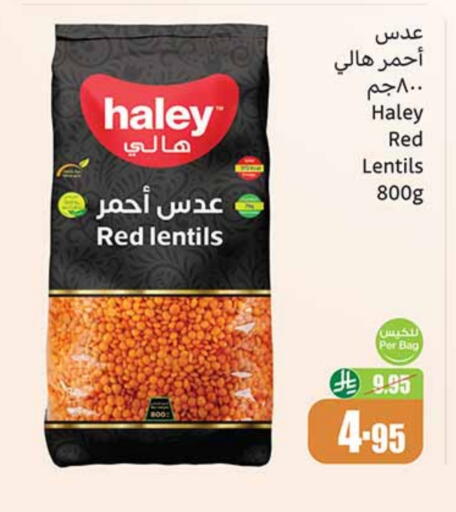 HALEY available at Othaim Markets in KSA, Saudi Arabia, Saudi - Khamis Mushait