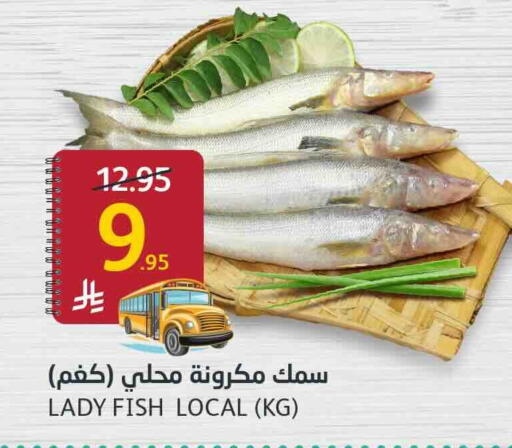 available at AlJazera Shopping Center in KSA, Saudi Arabia, Saudi - Riyadh