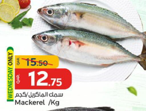 available at Paris Hypermarket in Qatar - Al Rayyan