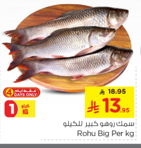 Fresh Fish in Nesto, Saudi Arabia Offers - Saudi Arabia available at Nesto in KSA, Saudi Arabia, Saudi - Riyadh