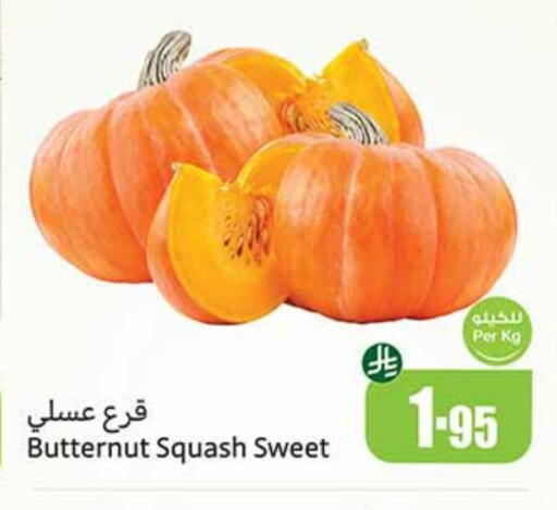 الخضروات الطازجة in أسواق عبد الله العثيم, المملكة العربية السعودية Offers - المملكة العربية السعودية Squash available at أسواق عبد الله العثيم in مملكة العربية السعودية, السعودية, سعودية - عنيزة