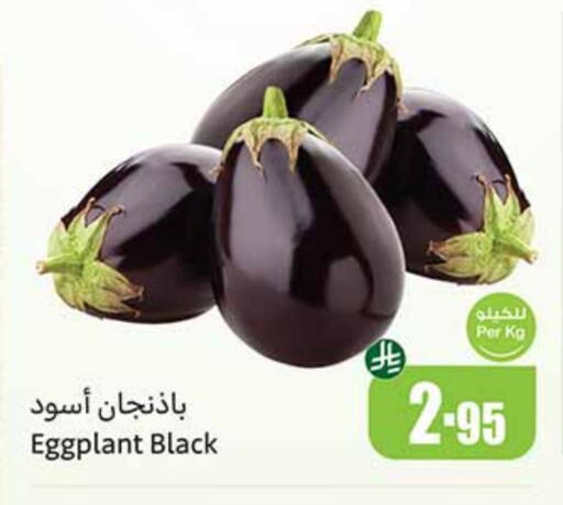 الخضروات الطازجة in أسواق عبد الله العثيم, المملكة العربية السعودية Offers - المملكة العربية السعودية Eggplant available at أسواق عبد الله العثيم in مملكة العربية السعودية, السعودية, سعودية - عنيزة