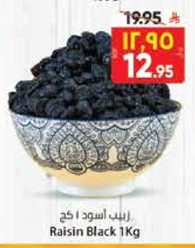 available at City Flower in KSA, Saudi Arabia, Saudi - Hail