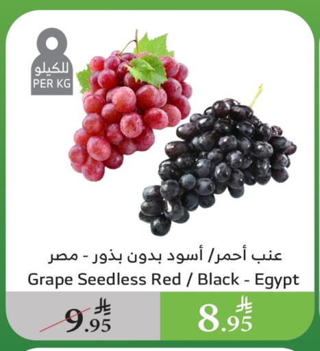 فاكهة طازجة in الراية, المملكة العربية السعودية Offers - المملكة العربية السعودية عنب from Egypt available at الراية in مملكة العربية السعودية, السعودية, سعودية - المدينة المنورة