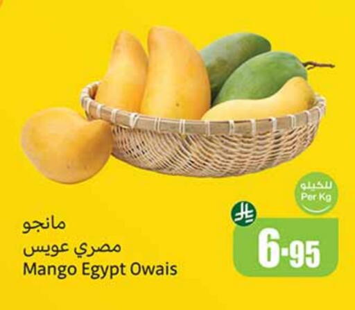 Mangoes from Egypt available at Othaim Markets in KSA, Saudi Arabia, Saudi - Jazan