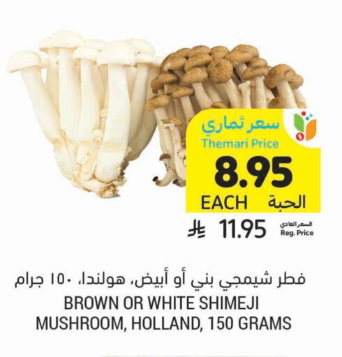 الخضروات الطازجة in أسواق التميمي, المملكة العربية السعودية Offers - المملكة العربية السعودية فطر available at أسواق التميمي in مملكة العربية السعودية, السعودية, سعودية - عنيزة