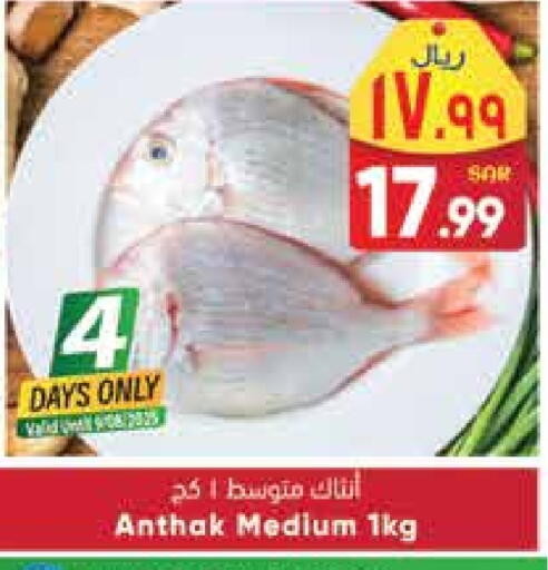 available at ستي فلاور in مملكة العربية السعودية, السعودية, سعودية - حائل‎