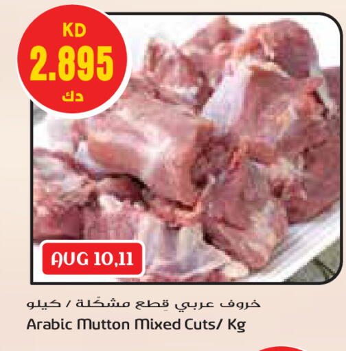Mutton / Lamb available at Grand Costo in Kuwait - Kuwait City