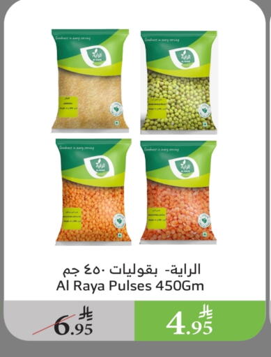 البقول، الفول والحبوب in الراية, المملكة العربية السعودية Offers - المملكة العربية السعودية available at الراية in مملكة العربية السعودية, السعودية, سعودية - بيشة