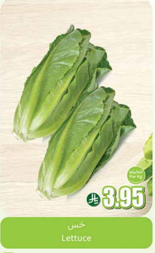 الخضروات الطازجة in أسواق عبد الله العثيم, المملكة العربية السعودية Offers - المملكة العربية السعودية Lettuce available at أسواق عبد الله العثيم in مملكة العربية السعودية, السعودية, سعودية - عنيزة
