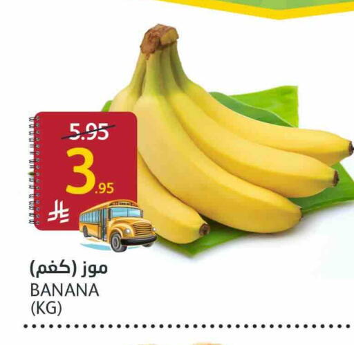 موز available at مركز الجزيرة للتسوق in مملكة العربية السعودية, السعودية, سعودية - الرياض
