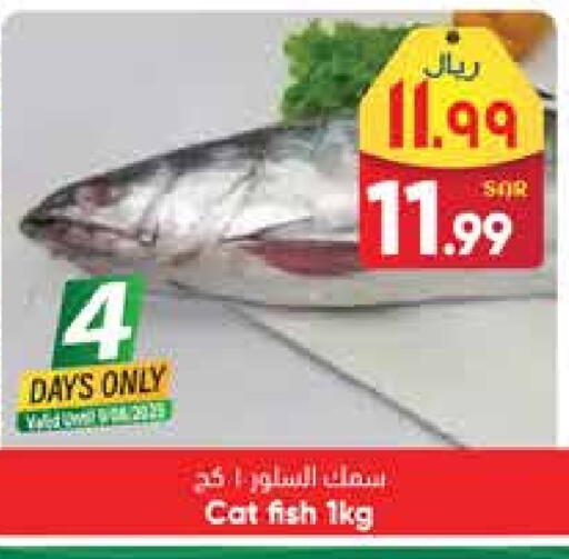 available at ستي فلاور in مملكة العربية السعودية, السعودية, سعودية - سكاكا