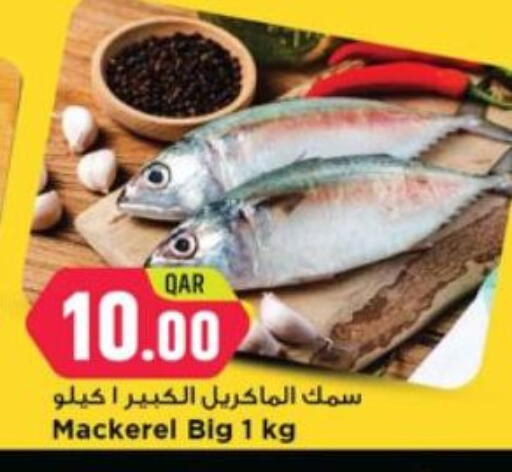 available at Marza Hypermarket in Qatar - Al Rayyan
