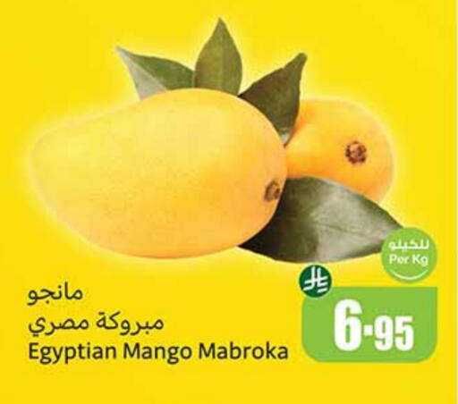 Mangoes from Egypt available at Othaim Markets in KSA, Saudi Arabia, Saudi - Jazan