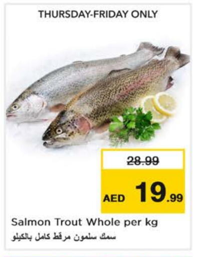 available at نستو هايبرماركت in الإمارات العربية المتحدة , الامارات - دبي