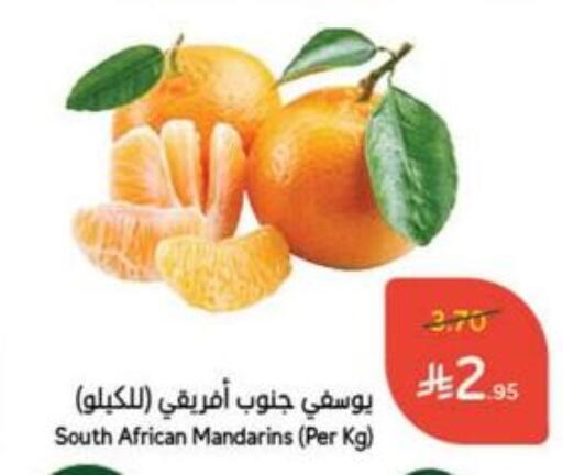 Orange from South Africa available at هايبر بنده in مملكة العربية السعودية, السعودية, سعودية - نجران