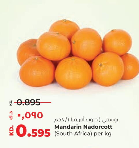 Orange from South Africa available at Lulu Hypermarket  in Kuwait - Ahmadi Governorate
