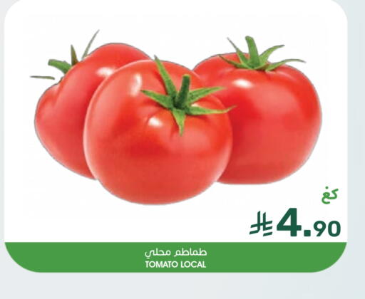 Tomato available at Mazaya in KSA, Saudi Arabia, Saudi - Dammam