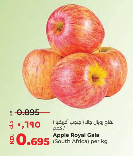 Apples from South Africa available at Lulu Hypermarket  in Kuwait - Kuwait City