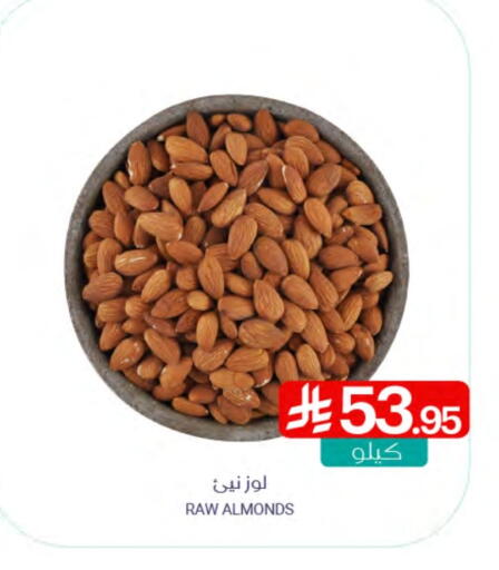 available at Muntazah Markets in KSA, Saudi Arabia, Saudi - Dammam