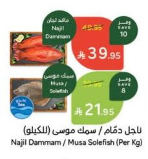 available at Hyper Panda in KSA, Saudi Arabia, Saudi - Buraidah