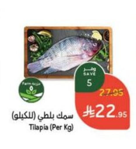 available at Hyper Panda in KSA, Saudi Arabia, Saudi - Buraidah