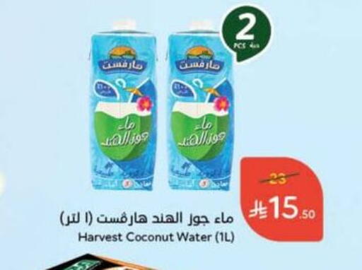 Coconut available at Hyper Panda in KSA, Saudi Arabia, Saudi - Tabuk