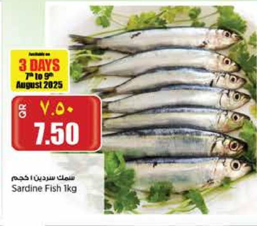 available at سوبر ماركت الهندي الجديد in قطر - الخور