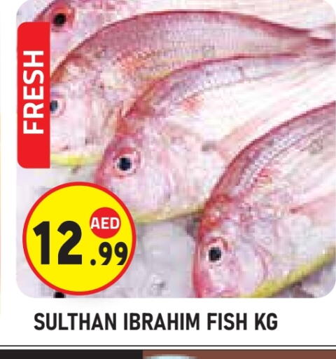 available at سنابل بني ياس in الإمارات العربية المتحدة , الامارات - ٱلْعَيْن‎