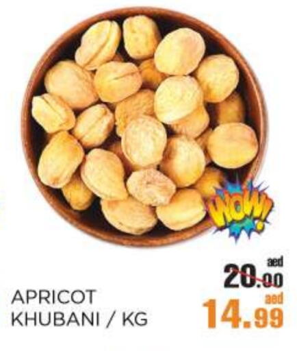 Apricot available at OK Hypermarket LLC SPC in UAE - Abu Dhabi