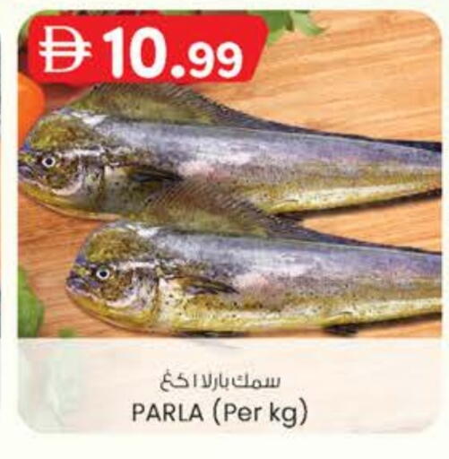 available at Safa Express Supermarket in UAE - Abu Dhabi