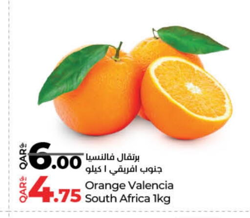 برتقال from South Africa available at لولو هايبرماركت in قطر - الخور