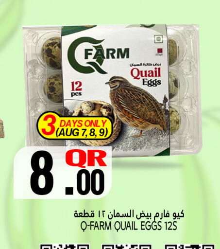 available at قصر الأغذية هايبرماركت in قطر - الخور