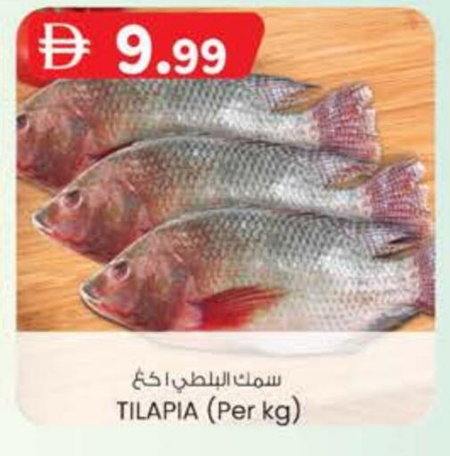 available at Safa Express Supermarket in UAE - Abu Dhabi