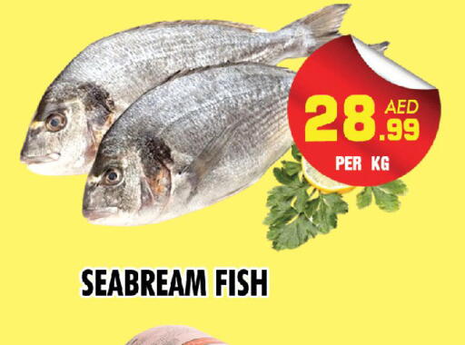 available at NIGHT TO NIGHT DEPARTMENT STORE in UAE - Sharjah / Ajman