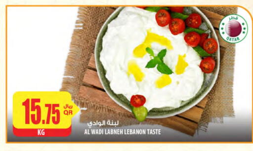 لبنة available at شركة الميرة للمواد الاستهلاكية in قطر - الريان