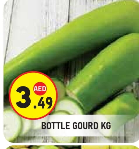 Gourd available at سنابل بني ياس in الإمارات العربية المتحدة , الامارات - ٱلْعَيْن‎