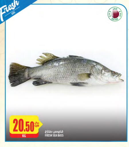 available at شركة الميرة للمواد الاستهلاكية in قطر - أم صلال