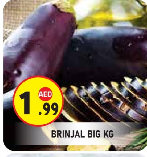 available at سنابل بني ياس in الإمارات العربية المتحدة , الامارات - ٱلْعَيْن‎