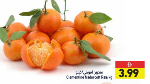 available at أسواق رامز in الإمارات العربية المتحدة , الامارات - دبي