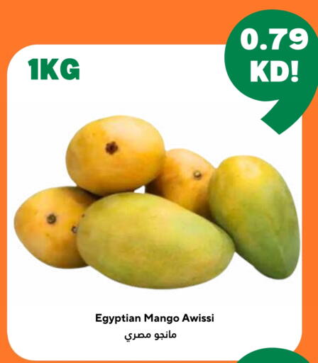 Mango Mangoes from Egypt available at Taw9eel.com in Kuwait - Kuwait City
