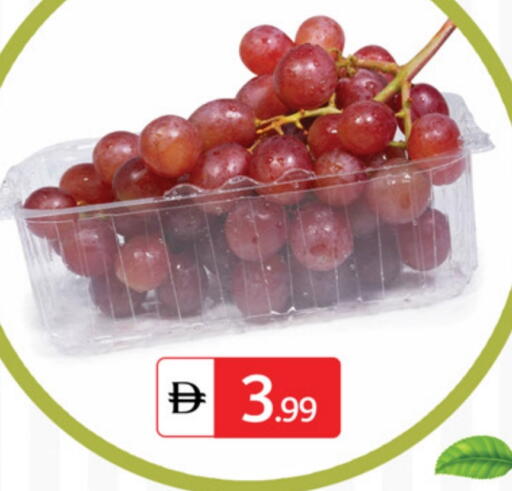 available at سوق طلال in الإمارات العربية المتحدة , الامارات - أبو ظبي